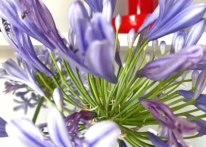 Apartment Studio_suite05